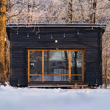 Beautiful Tiny House On The Lake Side. トラカイ エクステリア 写真